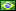 Português Brazil